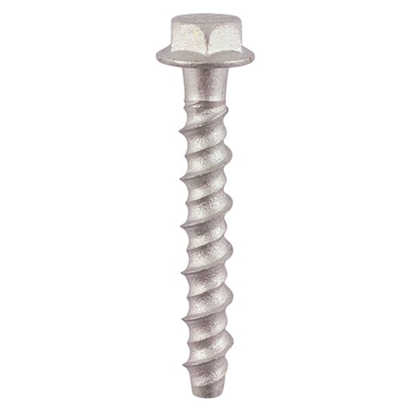 Masonry Bolts - Hex Flange - Exterior - Silver - 6mm x 50mm (4 Pack)