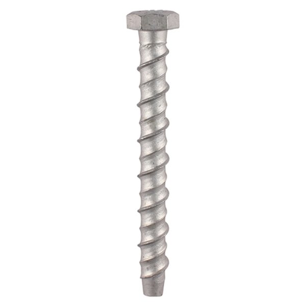 Masonry Bolts - Hex - Exterior - Silver - 8mm x 100mm (4 Pack)