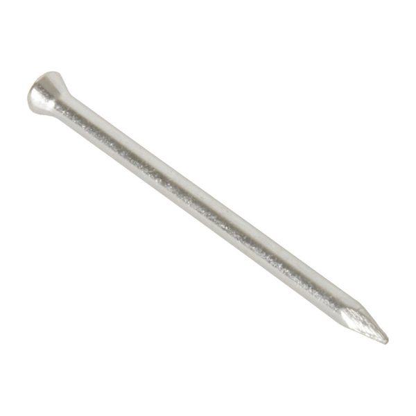 Masonry Nails 30mm x 2.5mm BZP Countersunk Head (Box 100)
